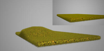 Травяной покров в Maxwell Render. Визуализация сделана прямой «отправкой» из Archicad в Maxwell Studio, где использовался генератор травы